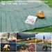 JEELAD Waterproof Camping Tarp Mat for Hiking - Green Large - Buy Online on GoSupps.com