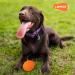 Laroo Dog Toys: Durable Natural Rubber Squeaker Dog Ball Football for Small & Large Dogs - 6.5*8cm Orange - Buy Online on GoSupps.com