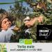Origeens Organic Yerba Mate Tea with Lemon and Ginger 200g - Le Tonique | Energizing Detox Drink with Organic Unroasted Yerba Mate Leaves | Ginger Lemon Flavor - Buy Online on GoSupps.com