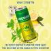 Wowie Hemp Infused Calming Sparkling Beverage Variety Pack 12 oz - Herbal Adaptogens, All Natural, Low Calorie, Non Alcoholic - Pack of 12 - Buy Online on GoSupps.com
