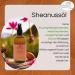 Leucosia Shea Oil - 100% Pure Shea Butter Essential Oil for Skin & Hair - 100ml Natural Moisturizer - Buy Online on GoSupps.com