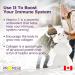 Promise Liposomal Vitamin C 1000 mg - 90 Soft Gels - Superior Immunity Support & Collagen Production - Enhances Skin Muscle & Joint Health - Canadian-Made for Antioxidant Protection & Radicals Defense - Buy Online on GoSupps.com
