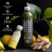14-Day Organic Celery Cure - 14 Bottles of 500ml Celery Juice & Ginger Shots | Pure Additive-Free Wellness - Buy Online on GoSupps.com