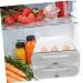 2-layer Egg Holder Storage Rack Organizer Large Egg Refrigerator Holder -layer Fridge re-usable - Buy Online on GoSupps.com