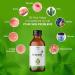 Verem Jatyadi Oil 100ml Pack of 2 - Skin Lotion/Cream for Effective Skincare - Buy Online on GoSupps.com