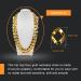 Hoedia Faux Gold Chain Necklace Hip Hop Chain Gold Necklace for Men Gold Chain Necklace 30.7in Punk Style Necklace Removable Chain for Pet Cats & Dogs Taking Pictures Christmas Costume - Buy Online on GoSupps.com