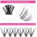 200Pcs Individual Cluster Lashes Extensions 10mm D Curl - DIY Eyelash Extensions at Home - DH-30D+40D-0.07-D - Buy Online on GoSupps.com