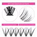 40D Individual Cluster Eyelashes for Extensions - 0.07 D Curl Mix 15-20mm - Perfect for Beginners | Artificial Eyelashes - Buy Online on GoSupps.com