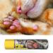 Blissful Cat Paw Butter | Nourishing Relief for Your Cat's Paws - Buy Online on GoSupps.com