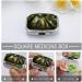 Portable Decorative Pill Box - Tree Forest Nature Print 2 Compartment Medicine Organizer for Pocket & Purse - Buy Online on GoSupps.com