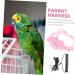 OATIPHO 1 Set Bird Leash Suspend Parrot Flying Harness Bird Flying Bird Harness and Leash Strap Lizard 12X6X1.3CM Pink - Buy Online on GoSupps.com
