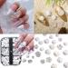 TQUXNGA Exquisite Craftsmanship Camellia Nail Art Decorations in Various Styles Take Your Manicure to the Next - Buy Online on GoSupps.com