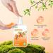 GPP Persimmon Body Wash for Body Odor Control Natural Deodorant Soap for Old People Smell Smelly Feet Deodorant Body Odor Eliminator Gentle for Sensitive Skin Persimmon Soap Bar for Women & Men - Buy Online on GoSupps.com