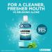 Listerine Essentials Cool Mint Mouthwash 1L 1 l (Pack of 1) - Buy Online on GoSupps.com