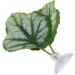 Betta Fish Hammock | Green Leaf Bed for Betta Fish | Perfect Aquarium Accessory - Buy Online on GoSupps.com