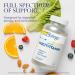 SOLARAY Spectro Multivitamin with Iron - Energizing Multi Vitamin for Digestion, Energy, and Bone Health - 250 CT (Pack of 1) - Buy Online on GoSupps.com