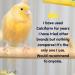 CALCIFORM HiD3 Liquid Calcium for Cage & Aviary Birds (100ml) 100 ml (Pack of 1) - Buy Online on GoSupps.com