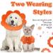 Adjustable Pet Cone Collar for Cats - 2 Pack Soft Protective Recovery Collar in Orange | Prevents Licking Wounds after Surgery (Large) - Buy Online on GoSupps.com