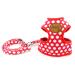 SMALLLEE_Lucky_Store New Soft Mesh Nylon Vest Pet Cat Small Medium Dog Harness Dog Leash Set Red Medium ( Chest:25-48cm/10"-18")