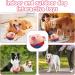 Moving Dog Toy Ball - Non-Toxic Plush Pet Toy for Active Training | Bite-Proof & Fun - Buy Online on GoSupps.com