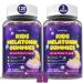 Kids Melatonin Gummy Supplements 1mg - Non-Habit Forming Melatonin Gummies Kids with Chamomile, Lemon Balm, L-Theanine, Magnesium, Zinc for Children Ages 4+ - Non-GMO, Gluten Free, Mixed Berry Flavor Mixed Berry 60 Count (P