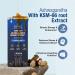 KSM-66 Ashwagandha Honey Sticks Honey Infused with Adaptogenic Ashwagandha Helps Promote Relaxation & Focus Boosts Energy & Vitality No Artificial Additives 7 Count VANILLA - Buy Online on GoSupps.com