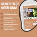 Neotea Natural Neem Gum 200GM (7.05 OZ) | Edible Herbal Resin | Raw & Natural | Cooling Summer Ingredient for Drinks & Wellness - Buy Online on GoSupps.com