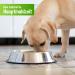 Schecker - 100% PUR Duck - Wet Dog Food - 6 x 410 g - Grain Free - Canned Food - Dog Food - Buy Online on GoSupps.com