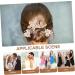 HONMEET 1 Set Leaves and Flowers Hair Comb Decorative Hair Clips Headgear Decorative Hair Combs Tiara Suits for Women Hair Accessories Wedding Hair Pins Hair Holder Zinc Alloy - Buy Online on GoSupps.com
