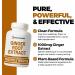 Immortal Herbs Ginger Root Capsules 1000mg 4:1 Extract Powder 150 Pills Vegan Non-GMO and Gluten-Free Ginger Supplement for Men and Women 2 Month Supply - Buy Online on GoSupps.com