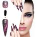 DIY Cat Eyes Gel Nail Polish - Aurora Glitter Effect Gel Nail Art Varnish Manicure Tool | Aurora Nail Art Design Easter for Women 0.23 OZ  - Buy Online on GoSupps.com