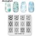 Alexnailart Nail Stamping Printing Plate Template Image Plate Stamper Scraper Flower Pattern Nail Art Decoration DIY Print Manicure Design FL045 - Buy Online on GoSupps.com