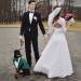 Elegant Dog Tuxedo Costume - Formal Wedding Attire for Chihuahua & Small Dogs - Dark Green Size S - Buy Online on GoSupps.com