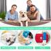 ETDANE One-Divider for Dogs | Post-Surgery Recovery Suit | Anti-Hair Loss & Anxiety Jumpsuit | Size M Blue - Buy Online on GoSupps.com