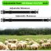 3 Pack Goat Collar with Bell Sheep Collars with Bell Grazing Copper Bells and Adjustable Nylon Collar Set for Small Farm Animal Sheep Cow Pet Goat Accessories - Buy Online on GoSupps.com