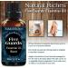 Five Guards Essential Oil Blend 30ml - Clove, Cinnamon, Lemon, Rosemary, Eucalyptus Aromatherapy Oil for Health Shield - 1 Fl Oz - Buy Online on GoSupps.com