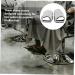 HONMEET 1 Pair Anti-Breakage Shoe Cover Accessories for Shoes Cape Hair Stylist Shoes Cover Haircut Shoes Covers Hairdressing Accessories Salon Shoes Covers Hairdressing Supplies Cloth - Buy Online on GoSupps.com