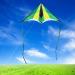 Laruita Delta Kite for Kids & Adults - Easy-to-Fly Beginner Kite with 300ft String - Green - Buy Online on GoSupps.com