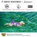 Buy Queenmore Dog Life Jacket - Adjustable High Buoyancy Ripstop Vest for Medium Dogs - XXL Purple Shark Design - Buy Online on GoSupps.com
