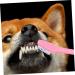 Levemolo 12pcs Double Head Dog Toothbrush Dog Oral Cleaning Toothbrush Cat Toothbrush and Toothpaste Pet Pp - Buy Online on GoSupps.com