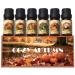 Fall Essential Oil for Diffusers Autumn Fragrance Oil Set Aromatherapy Oils Gift Set for Candle Soap Making - Apple Cider Nutmeg Snickerdoodle Vanilla Forest Pine Pumpkin Spice 6x10ml
