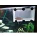 Large Fish Tank Breeder Net w/ Suction Cups | Nylon Mesh Aquarium Breeder Box for Fish Fry Hatchery & Breeding - Buy Online on GoSupps.com