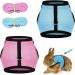 Adjustable Soft Rabbit Dishes Set - 2 Breathable Small Animal Dishes with Leash for Outdoor Use | Perfect for Rabbits Hares Hamsters & Cats - Buy Online on GoSupps.com