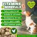 CANIVET Multivitamins for Dogs | 180 Chicken Flavour Tablets | Essential Dog Vitamins & Minerals | Full Spectrum Health Supplement | Up to 1 Year Supply - Buy Online on GoSupps.com