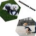 Dog Smoking Suit - Striped Gentleman Costume for Weddings | Formal Pet Clothing for Puppies - Buy Online on GoSupps.com