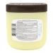 Quality Choice Petroleum Jelly with Cocoa Butter - Deep Moisturization & Skin Repair | 7.5 oz | International Shipping - Buy Online on GoSupps.com