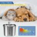 MISFANS Stainless Steel Cat Water Fountain | 74oz/2.2L Automatic Pet Water Dispenser with Filter Kit and Silicone Mat | Ideal for Cats and Dogs - Buy Online on GoSupps.com