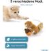 Buy Pettec Interactive Cat Toys - Electric Movable Squirrel with Catnip | Automatic Self-Employment Toy for Cats - Buy Online on GoSupps.com