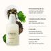 Herbloom Organic Kombucha Biome Serum - Deeply Moisturizing Vegan Serum with Ceramide & Triple Hyaluronic Acid - Non-Sticky Korean Essence - 1.69 fl. oz - Buy Online on GoSupps.com
